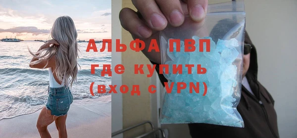 сатива Алексин