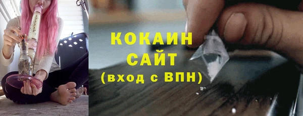 ПСИЛОЦИБИНОВЫЕ ГРИБЫ Абаза