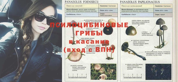 молекула духа Алзамай