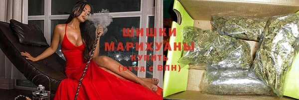 spice Рославль