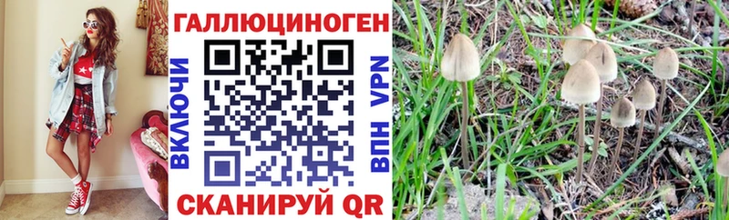 мориарти наркотические препараты  Красноармейск  Псилоцибиновые грибы Cubensis 