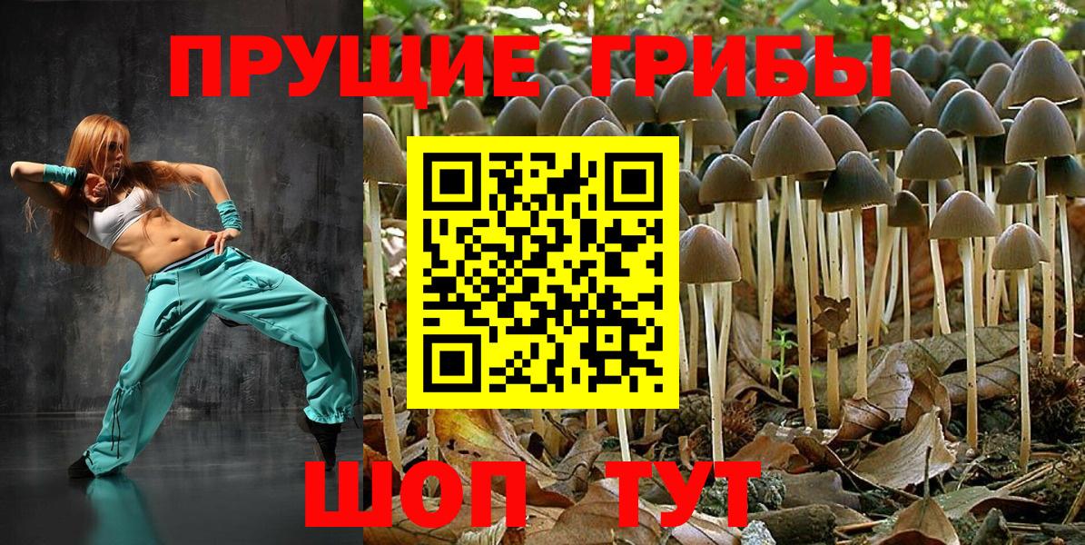 Псилоцибиновые грибы ЛСД Красноармейск