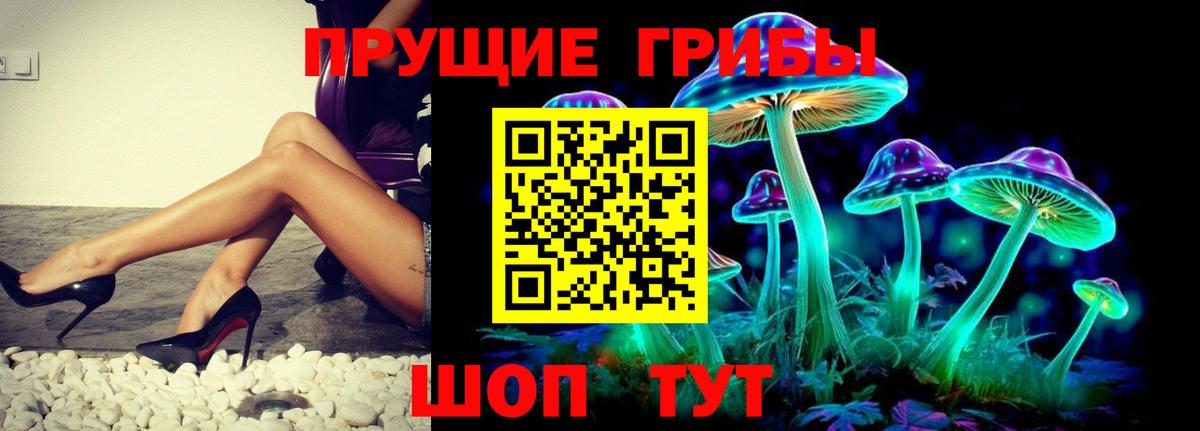 Галлюциногенные грибы прущие грибы  Вход с VPN  Красноармейск 